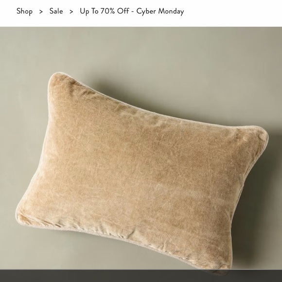 Magnolia velvet lumbar pillow in wheat color. 2 pillows has feather insert. - Picture 1 of 3